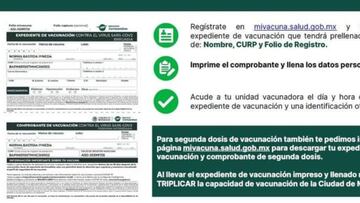 Vacunación México: ¿qué pasa si no puedo descargar mi expediente de vacunación y cómo solucionarlo?