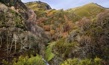 O Courel es uno de los territorios míticos de Galicia, la reserva natural y espiritual de los gallegos. Con su biodiversidad, las montañas de estas sierras conforman algunas de las postales de mayor belleza que se pueden encontrar en este rincón del mundo. El paisaje, desbordante de colores y matices, pertenece a la categoría de lugares irreales que sólo se pueden explicar cuando son percibidos en primera persona. La poesía de Uxío Novoneyra, el gran poeta de O Courel, logró describir con palabras tanta hermosura. 