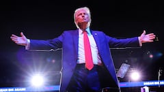 What did Donald Trump do before becoming a politician and what is his background and education?