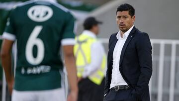 Futbol, Santiago Wanderers vs Union La Calera
 Final promocion ascenso 2017
 El director tecnico de Santiago Wanderers Nicolas Cordova da instrucciones a sus jugadores durante el partido de vuelta de la Final promocion ascenso contra Union La Calera disputado en el estadio Elias Figueroa de Valparaiso, Chile.
 21/12/2017
 Andres Pina/Photosport
 
 Football, Santiago Wanderers vs Union La Calera
 Promotion final match 2017
 Santiago Wanderers manager Nicolas Cordova instructs his players during the Promotion final second leg against Union La Calera at the Elias Figueroa stadium in Valparaiso, Chile.
 21/12/2017
 Andres Pina/Photosport