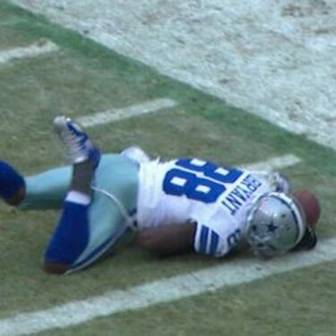 El mono de Dez Bryant enoja a la protectora de animales