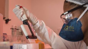 Photo by Pedro Vilela/Getty Images