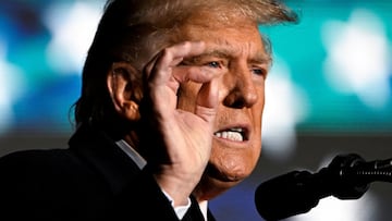 Donald Trump hizo oficial su candidatura presidencial para 2024 en Estados Unidos. ?Qui¨¦n ser¨¢ el segundo en su f¨®rmula? Te compartimos las opciones.