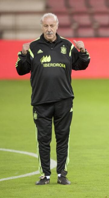 Vicente del Bosque.