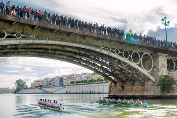 La regata masculina avanza por el Guadalquivir. 