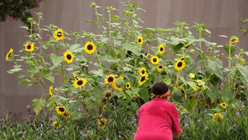 You don’t need a field the size of a small planet to grow your own fruit.