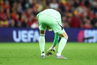 El portero belga de la selección de Bélgica intenta atrapar una rata que corrió al campo durante el partido frente a la selección de Gales en el Cardiff City Stadium.