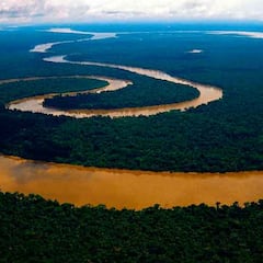Acude al río más grande del mundo y se topa con una evidencia del pasado del Amazonas