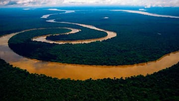Acude al río más grande del mundo y se topa con una evidencia del pasado del Amazonas