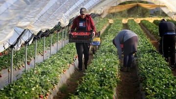 Agricultores españoles