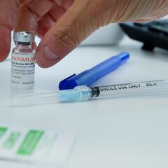 La cuarta dosis ya tiene fecha estimada: quiénes la recibirán