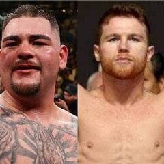 México tiene a nueve campeones vigentes en el boxeo