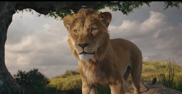 Mufasa: The Lion King llega a los cines esta semana. Te compartimos las crticas de los expertos sobre el nuevo live-action de Disney.