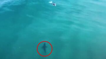 Un tibur&oacute;n blanco de 2 metros rodeado de un c&iacute;rculo rojo se acerca a un surfista que est&aacute; a punto de coger una ola en una playa de S&iacute;dney (Australia). 