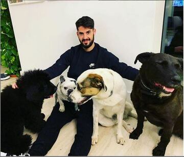 El mediocampista español ha demostrado su amor por los caninos, pero en especial de "Drama", la perrita de los ojos coquetos. 