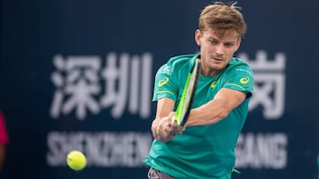 David Goffin gana el torne de Shenzhen.