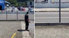 Lizard launches fierce attack on man after being pelted with a rock