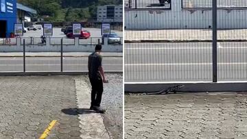 Lizard launches fierce attack on man after being pelted with a rock