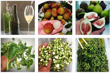 6 cuentas de Instagram para comer de forma saludable