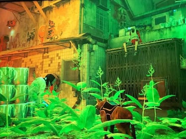 How to get the poncho, cable and detergent in Stray and where to use them?