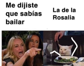 Meme gato