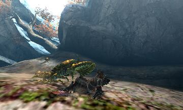 Captura de pantalla - Monster Hunter 4 (3DS)