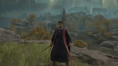 Elden Ring falls under the Hogwarts Legacy spell thanks to a mod