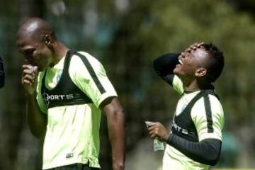 Intensidad y trabajo en el entrenamiento verdolaga