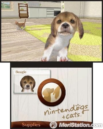 Captura de pantalla - 3ds_nintendogs_02ss02_e3.jpg