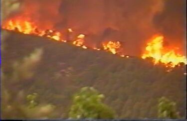 El incendio de Moratalla de 1994 fue uno de los desastres ambientales más importantes y devastadores en la historia reciente de la Región de Murcia. Las investigaciones apuntaron a un posible fallo eléctrico, provocado por el contacto de un pino con el tendido eléctrico en la zona conocida como Peñón del Serrano, en el municipio de Moratalla. El fuego arrasó entre 26.000 y 30.000 hectáreas, de las cuales alrededor de 25.579 hectáreas eran forestales y 2.818 agrícolas.