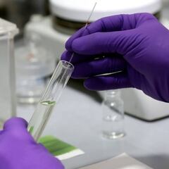 Estudio afirma que tener sangre tipo ‘0’ reduce la probabilidad de contraer COVID-19