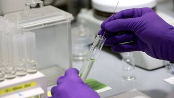 Estudio afirma que tener sangre tipo ‘O’ reduce la probabilidad de contraer COVID-19