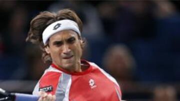David Ferrer