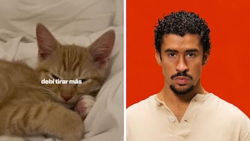 ‘Debí tirar más fotos’, la historia detrás del nuevo trend de TikTok creado por Bad Bunny