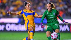 Las Amazonas a impedir lo que ellas nunca lograron