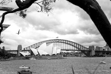 Las Red Bull Cliff Diving World Series
son un circuito internacional anual de competiciones de saltos de gran altura. Esta vez se está desarrollando en Sidney.