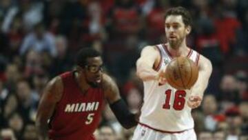 Pau Gasol y Amar'e Stoudemire