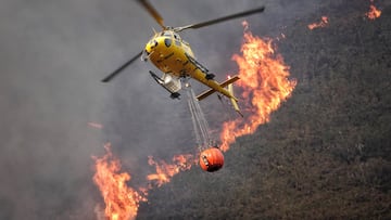 Bomberos de Asturias trabajan para extinguir las llamas en un incendio forestal en Toraño, Asturias (España). El Gobierno regional activó el pasado jueves por la noche el Plan de Incendios Forestales del Principado de Asturias (INFOPA).