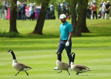 El Masters Brit芍nico celebra, del 5 al 8 de mayo, su 70? edici車n en Sutton Coldfield (Inglaterra). El torneo, organizado por Danny Willett, es el primero de los nueve eventos que se celebrar芍n en suelo brit芍nico dentro del Race to Dubai 2022. En la imagen, el indio Shubhankar Sharma camina por el green del quinto hoyo en The Belfry junto a tres gansos.