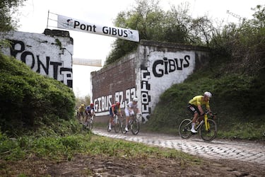 El ciclista belga Wout van Aert, del equipo Visma - Lease a Bike, y el ciclista esloveno Tadej Pogacar, del equipo UAE Team Emirates XRG, durante la 123.ª edición de la París-Roubaix.