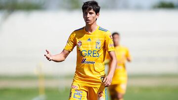 Jürgen Damm, Tigres