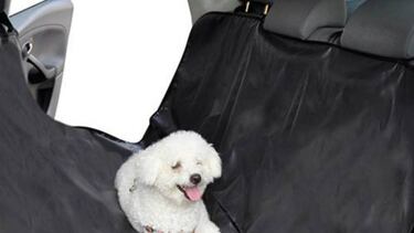 10 accesorios que agradecern nuestras mascotas