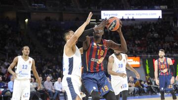 22/11/19 BALONCESTO EUROLIGA PARTIDO
BASKONIA - ZENIT SAN PETERSBURGO
FALL
