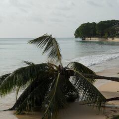 Huracán Beryl categoría 3 tocará tierra en Tulum: ¿qué municipios serán los más afectados?