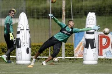 Intensidad y trabajo en el entrenamiento verdolaga