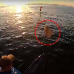 Le cae una roca a 160km/h en Gibraltar y se salva por los pelos