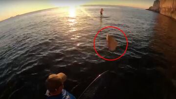 Roca cayendo sobre un practicante de Paddle Surf (SUP), Charles Lopez, en Gibraltar (Reino Unido), durante la salida del sol. La roca, redondeada con un c&iacute;rculo rojo. 