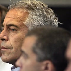 Epstein files force retreat for Trump-named former Harvard President: ”I am deeply ashamed of my actions"