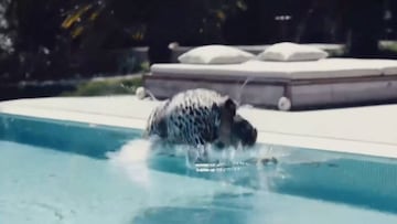 El 'peor d¨ªa' de la vida de Cristiano hasta que... Ojo a su 'outfit' cay¨¦ndose a la piscina
