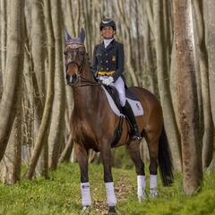 Ferrer-Salat, la doma rompedora